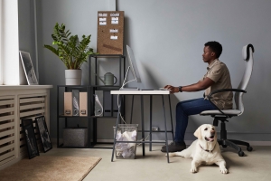 Young Man with Dog in Office Young Man with Dog in Office